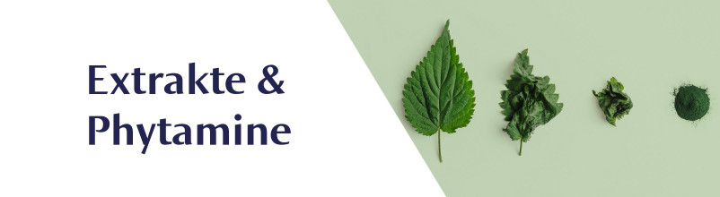 Extracts & Phytochemicals